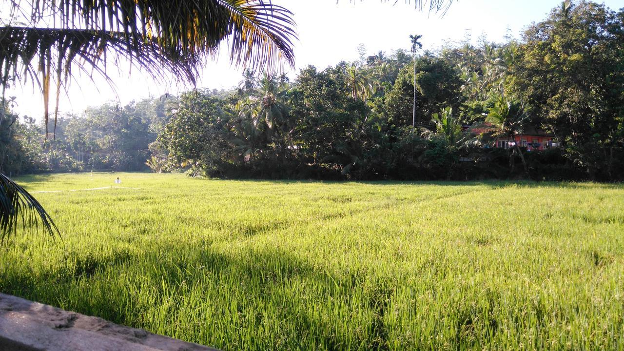 Villa Paddy Fields View Mirissa Exterior photo